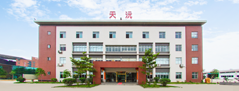 天沅動态